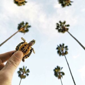 Meet your Posher, Caeley